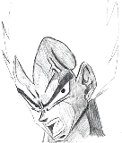 face.jpg